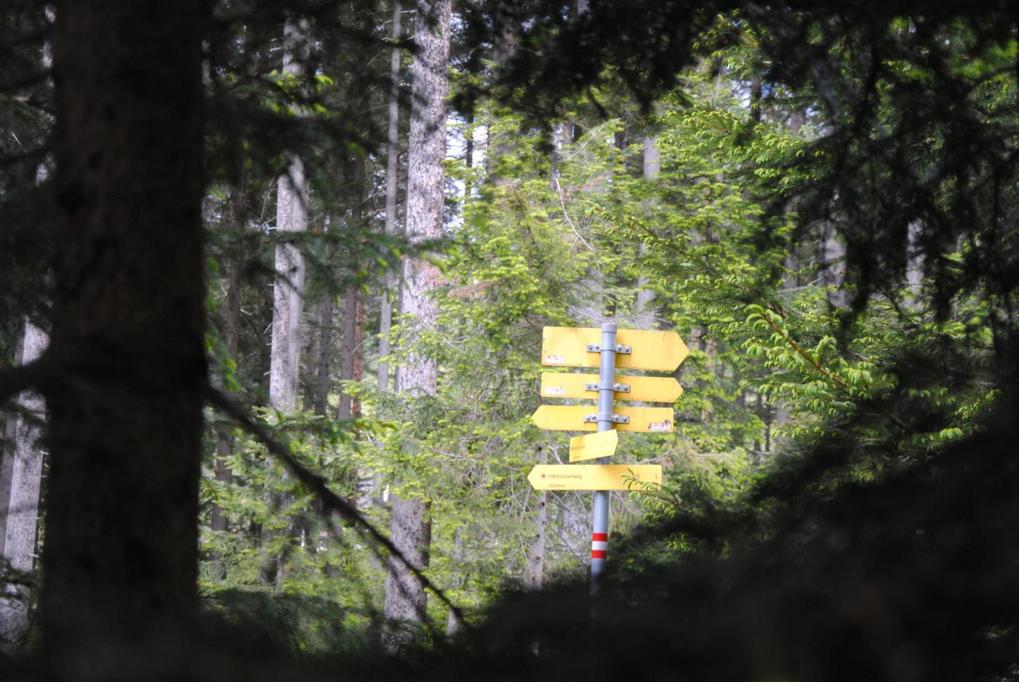 Haus Jakob Filzmoos Bagian luar foto