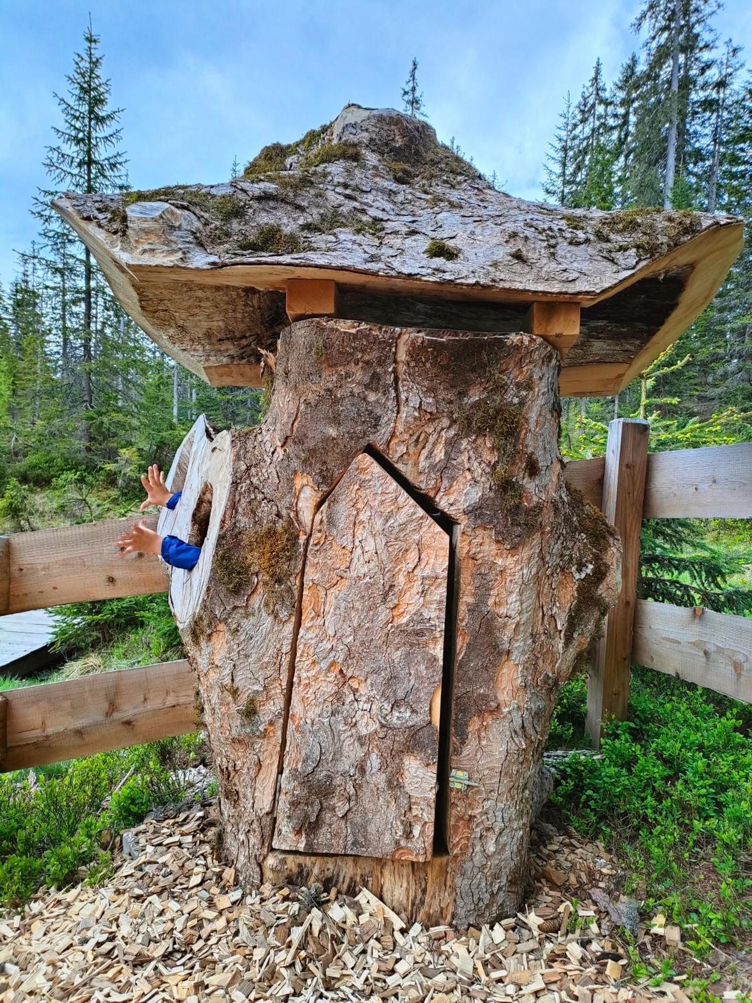 Haus Jakob Filzmoos Bagian luar foto